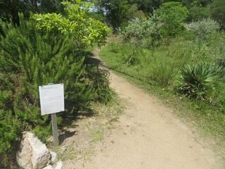 IMG_2850.jpeg