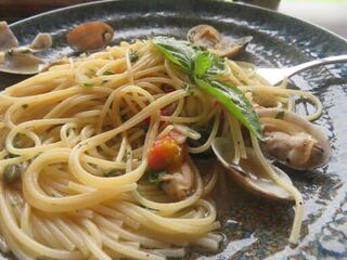 IMG_2855.jpeg