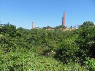 IMG_2891.jpeg
