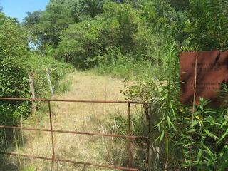 IMG_2892.jpeg