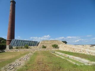 IMG_2896.jpeg