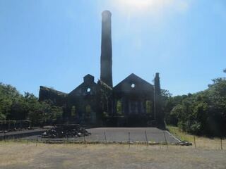 IMG_2898.jpeg