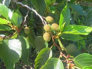 IMG_2899.jpeg
