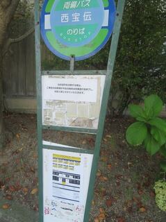 IMG_2914.jpeg