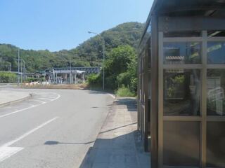 IMG_2920.jpeg