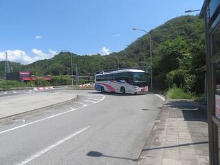 IMG_2923.jpeg