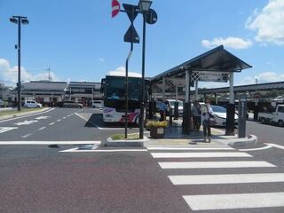 IMG_2925.jpeg