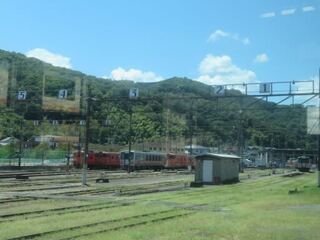 IMG_2931.jpeg
