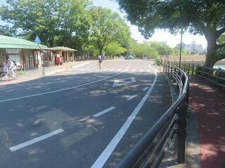 IMG_2934.jpeg