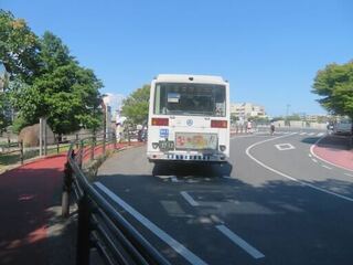 IMG_2935.jpeg