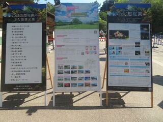 IMG_2938.jpeg