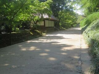 IMG_2945.jpeg