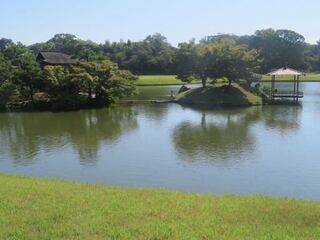 IMG_2952.jpeg