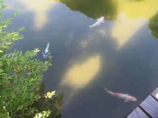 IMG_2959.jpeg