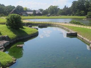 IMG_2965.jpeg