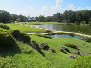 IMG_2967.jpeg