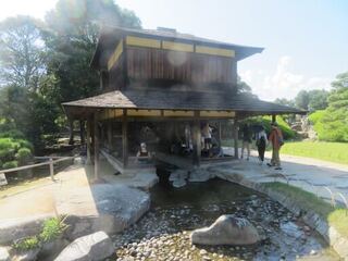 IMG_2971.jpeg