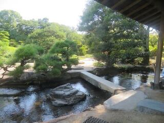 IMG_2973.jpeg