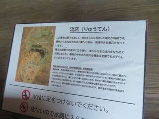 IMG_2975.jpeg