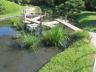 IMG_2976.jpeg