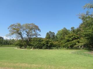 IMG_2977.jpeg