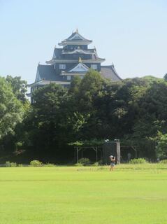 IMG_2986.jpeg