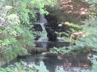 IMG_2993.jpeg