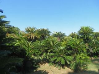 IMG_2999.jpeg