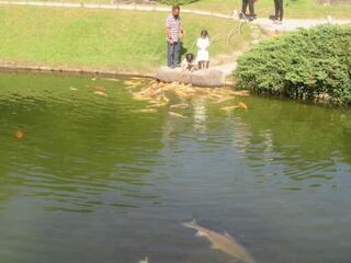 IMG_3001.jpeg