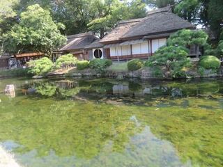 IMG_3003.jpeg
