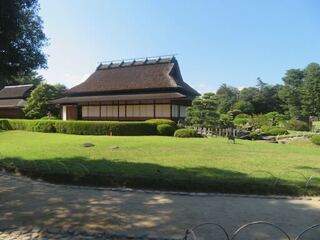 IMG_3005.jpeg
