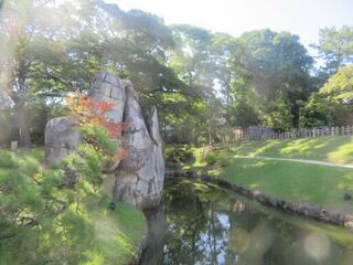 IMG_3017.jpeg