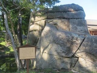 IMG_3018.jpeg