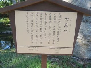 IMG_3019.jpeg