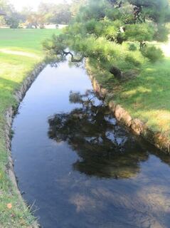 IMG_3031.jpeg