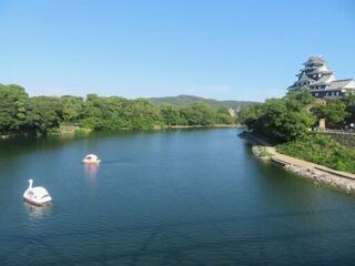 IMG_3041.jpeg