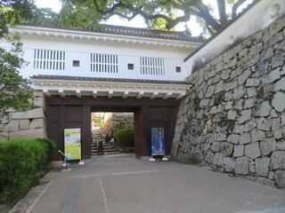 IMG_3044.jpeg