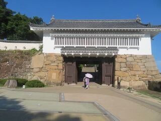 IMG_3050.jpeg
