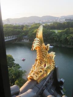 IMG_3056.jpeg