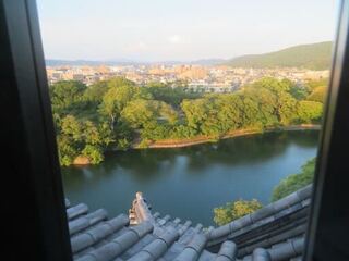 IMG_3057.jpeg