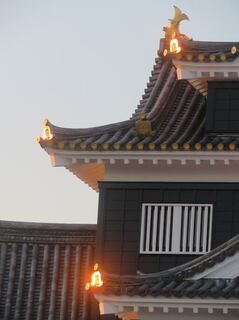 IMG_3061.jpeg