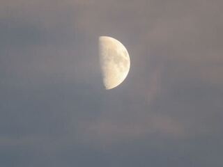 IMG_3069.jpeg