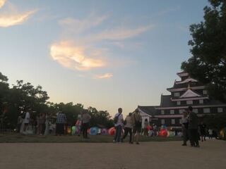 IMG_3071.jpeg