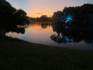 IMG_3088.jpeg