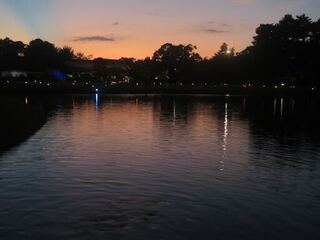 IMG_3091.jpeg