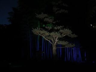 IMG_3101.jpeg