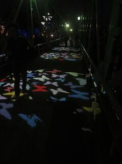 IMG_3108.jpeg