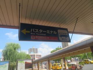 IMG_3129.jpeg