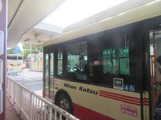 IMG_3131.jpeg