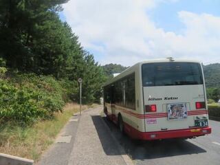 IMG_3132.jpeg
